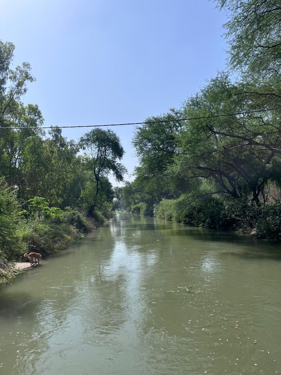 Canal at OG Farms